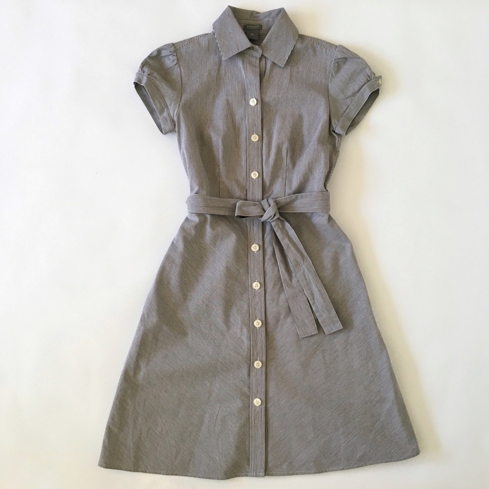 Banana Republic Blue White Striped Button Dress 0p